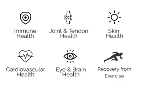 Top 6 Benefits of Natural Astaxanthin for Good Health